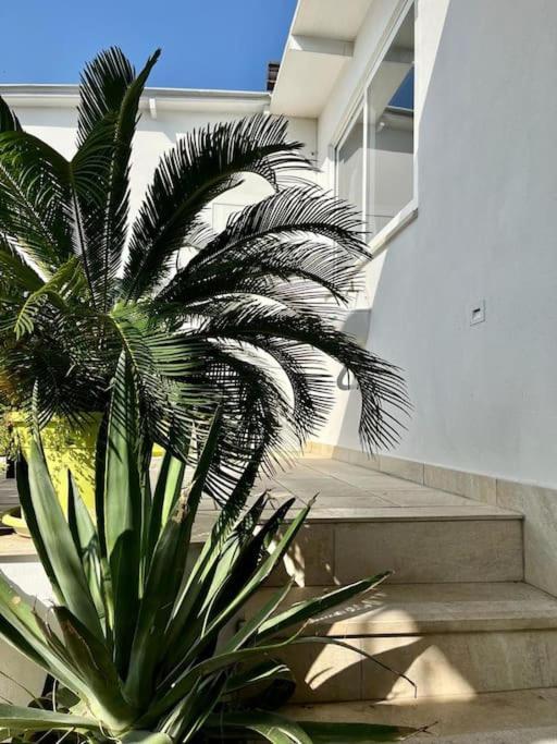 Bed and Breakfast Naples In The History 4M Exterior foto